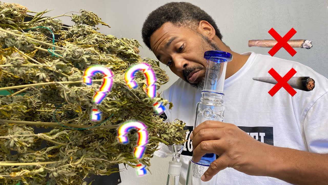 The Best Way To Taste Weed Terpenes and Flavors: The Water Bong