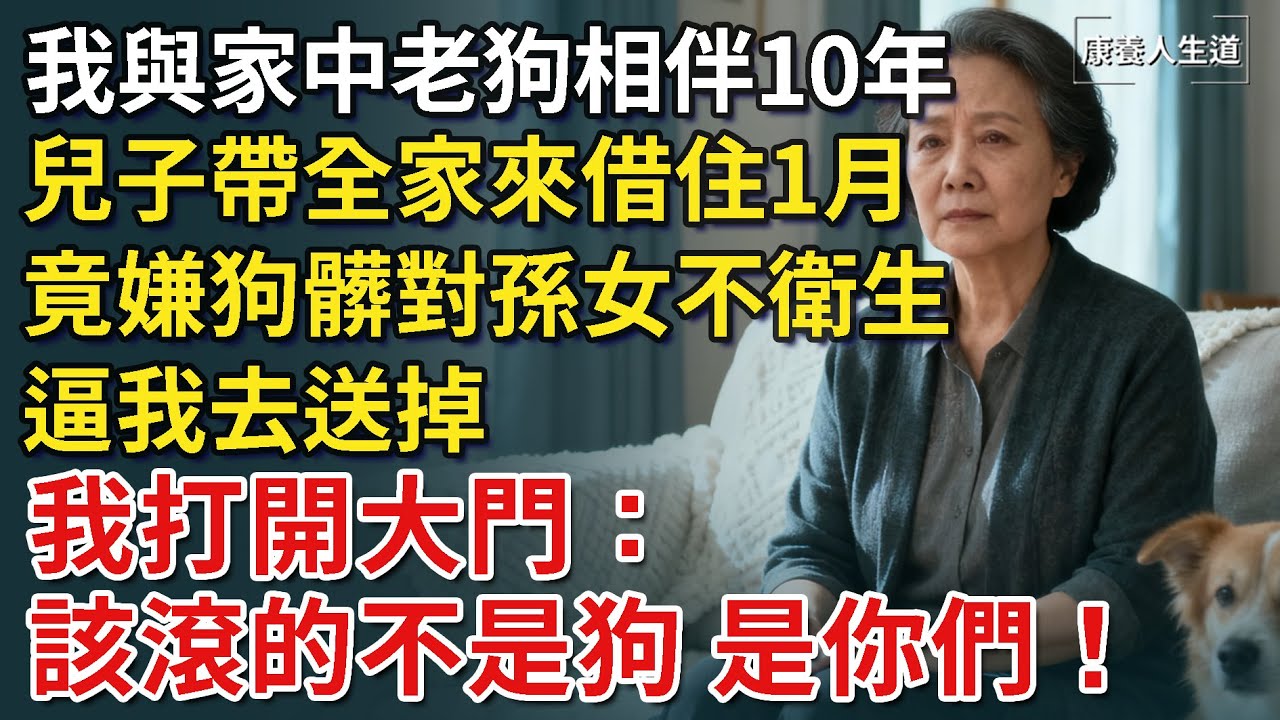 我與家中老狗相伴10年，兒子帶全家來借住1月，竟嫌狗髒對孫女不衛生，逼我去送掉，我打開大門：這個家該滾的，不是狗，是你們！【康養人生道】 #康養人生道 #上了年紀該明白的事 #養老 #聰明老人