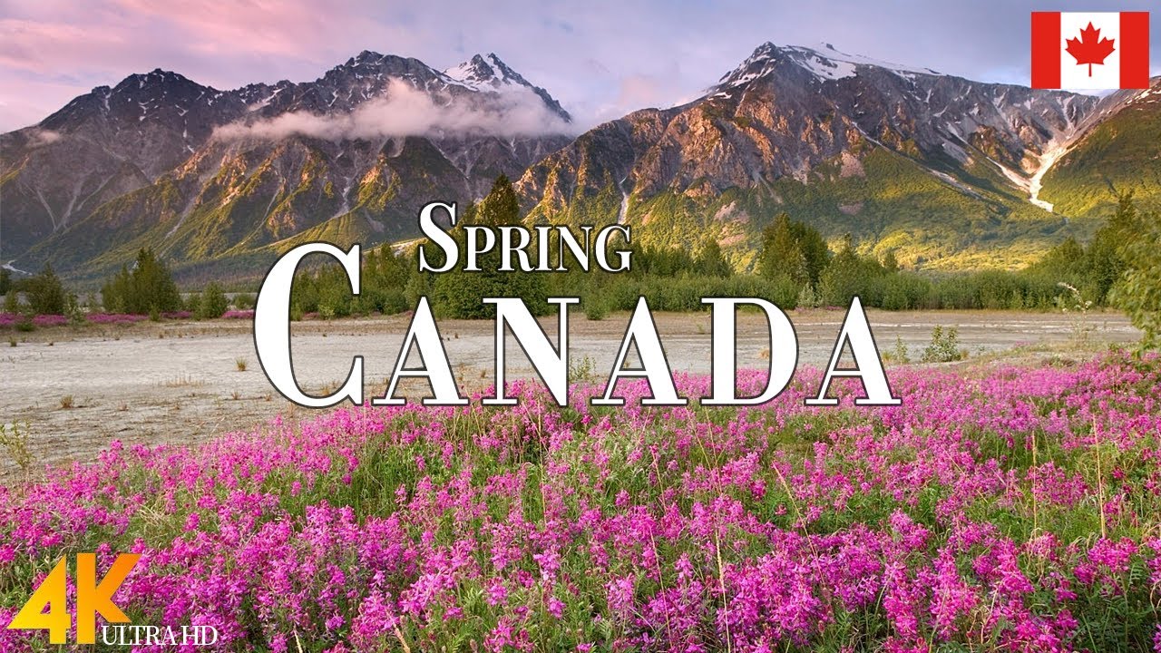 Spring Canada 4K Ultra HD &bull; Stunning Footage Canada, Scenic Relaxation Film with Calming Music.