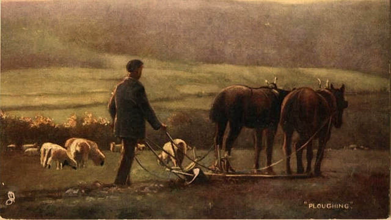 Horses and Plough