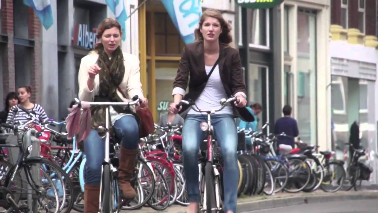 From the Netherlands  Translating the World's Best Bikeway Designs