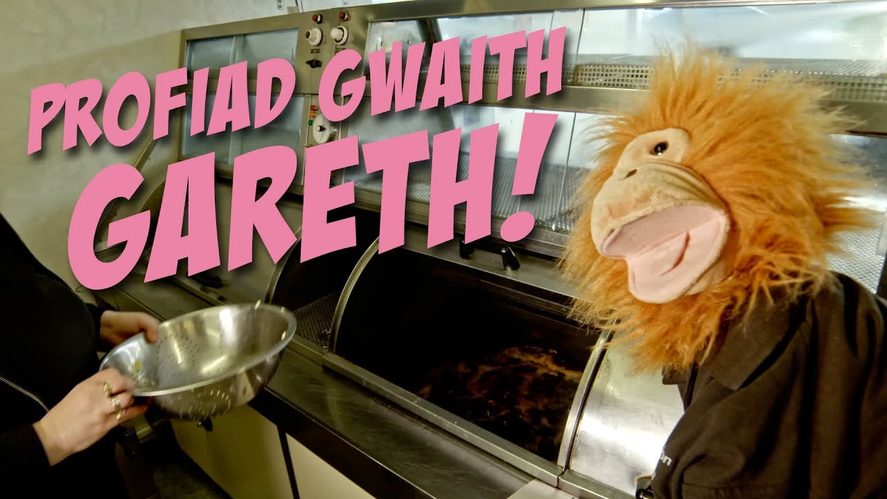Y Siop Sglods – Profiad Gwaith Gareth!