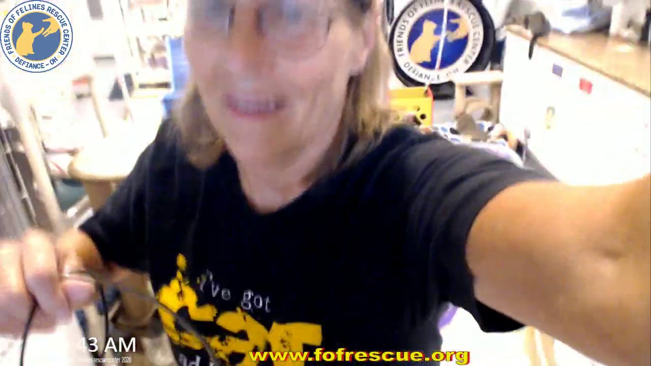 Overnight cat visit. Jacci seeing the disaster. 08/21/20  Friends of Felines Rescue Center (FFRC)