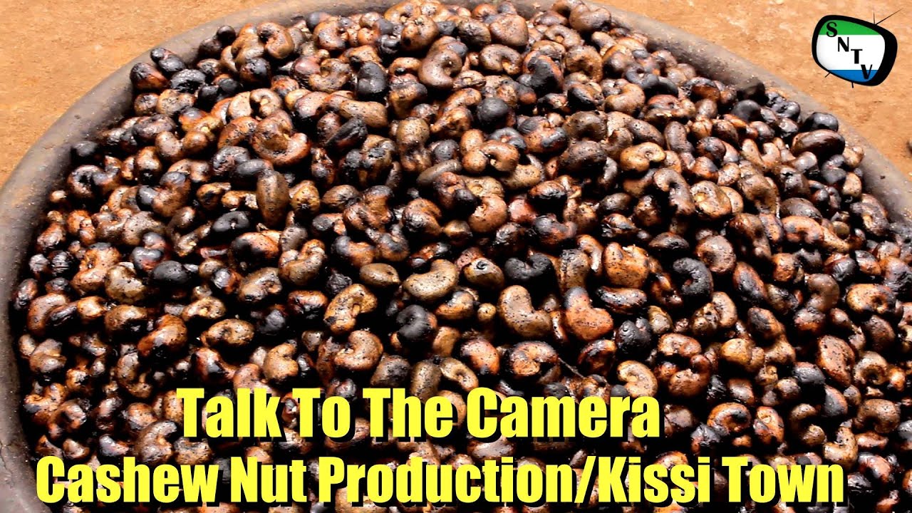 Talk To The Camera — Производство орехов кешью | Город Кисси — Сьерра-Леоне