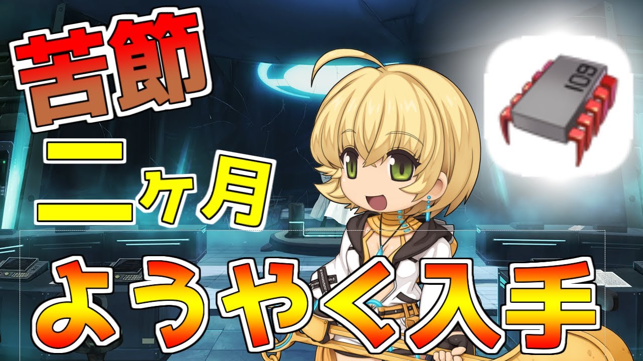 【ラグナロクオンライン】待望のパワードチップ購入しました。【RO】