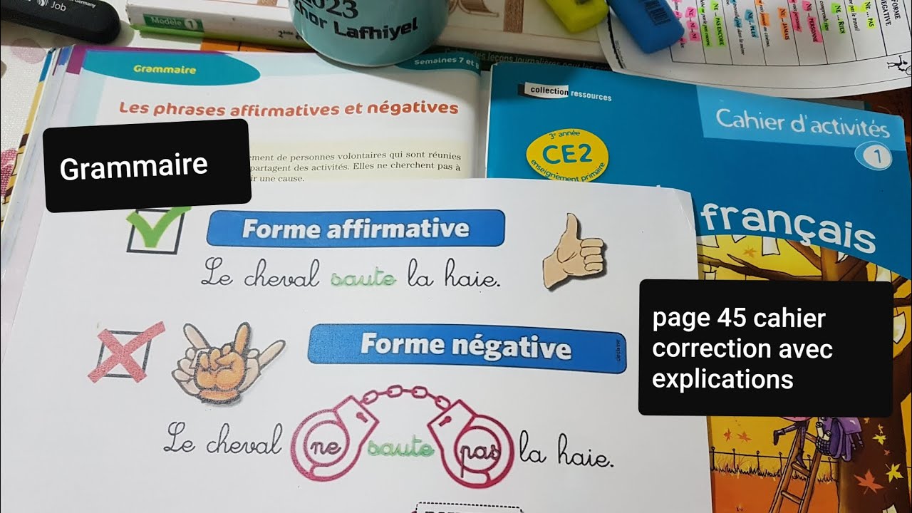 Grammaire. Las phrase affirmative et la phrase négative. CE2