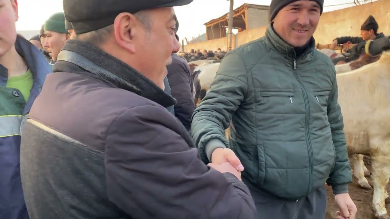 27 февраля 2026 г.