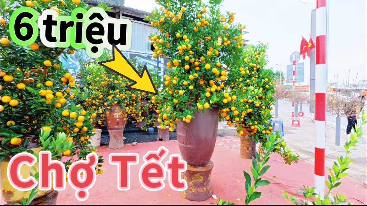 Khám phá “” chợ quất tràn ngập QUẬN LONG BIÊN HÀ NỘI 