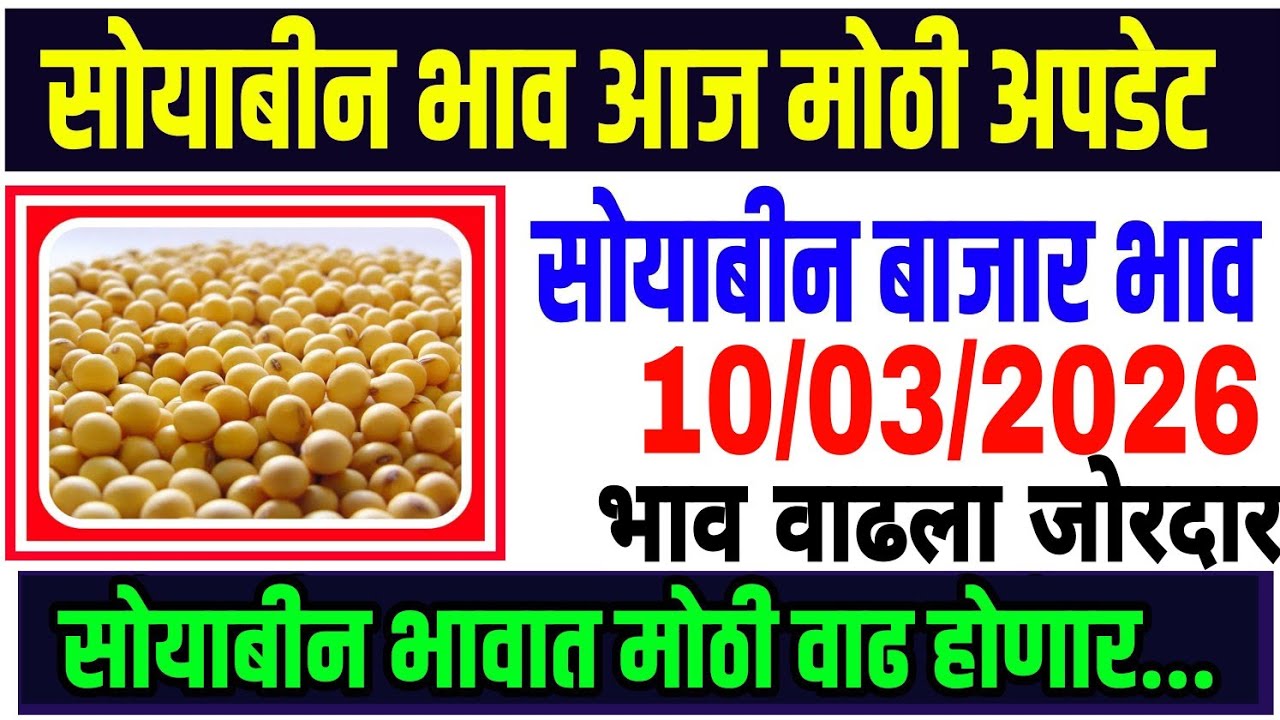सोयाबीन बाजार भाव 10/03/2026 /Soya teji Mandi report/soyabean bhazar bhav today/भावात प्रचंड तेजी..