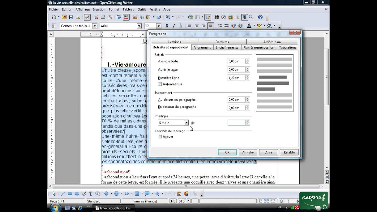 Open office ou Libre office - Texte long 4 - Mise en forme de paragraphe