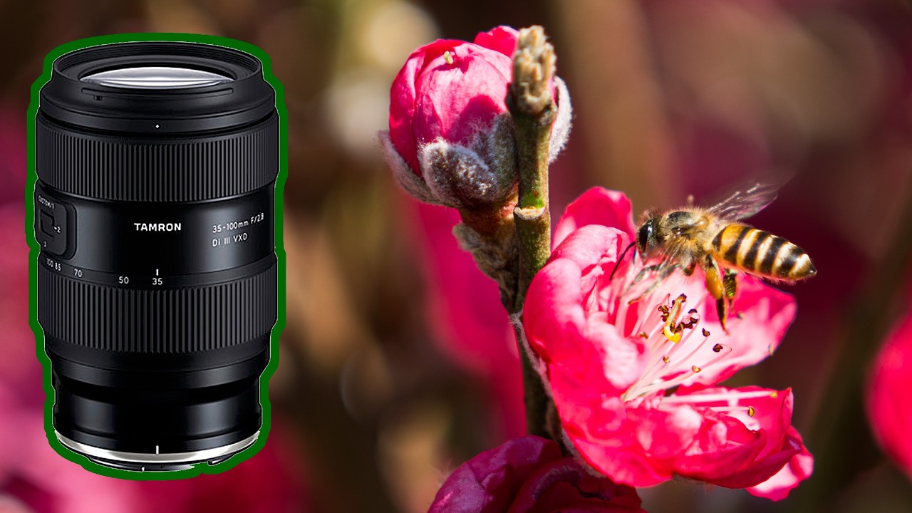 Tamron снова нарушает правила: встречайте объектив 35–100mm f/2.8