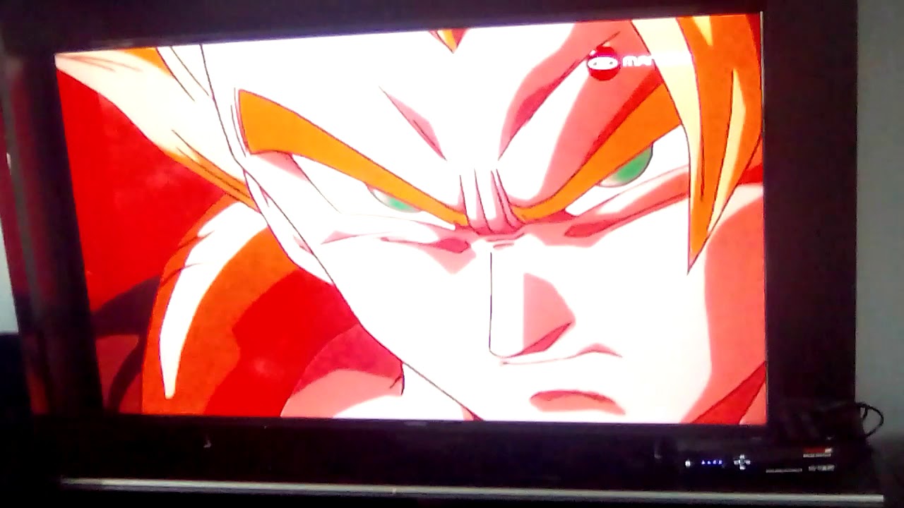 Gogeta vs janempa