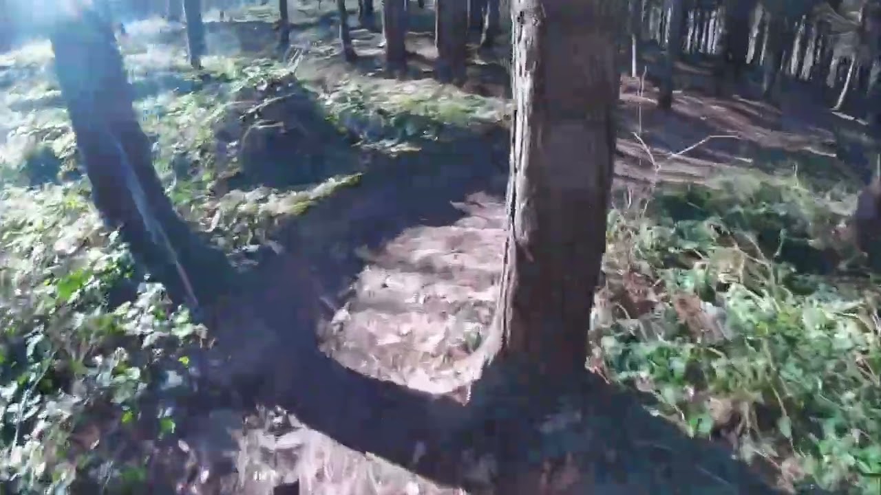 Me riding trail at mountain named Štandl in Czech 2026 :) 