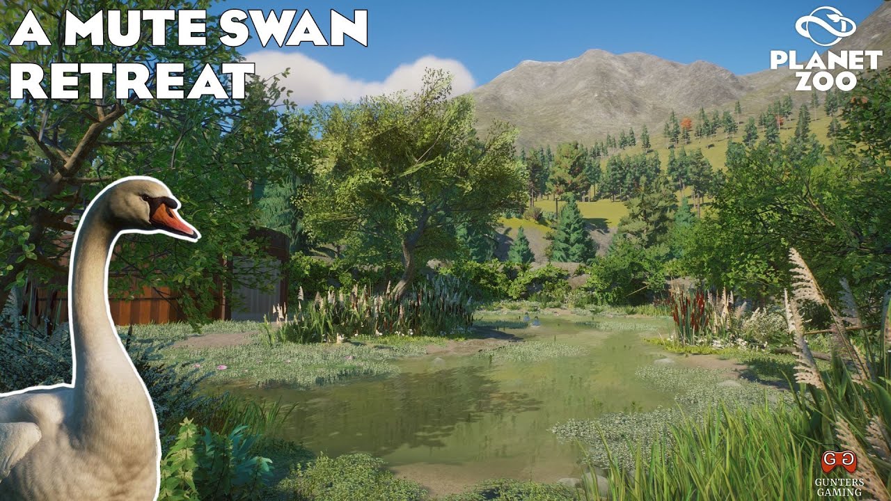 Designing a new Mute Swan habitat | Ottawa Zoo | Planet Zoo Franchise Mode
