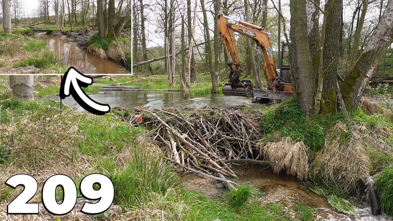 Crispy Opening - Beaver Dam Removal With Excavator No.209