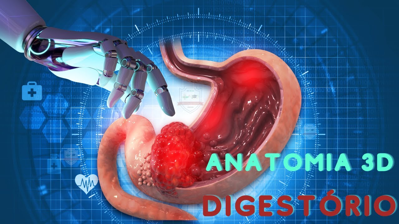 Anatomia 3D Sistema DIGESTÓRIO