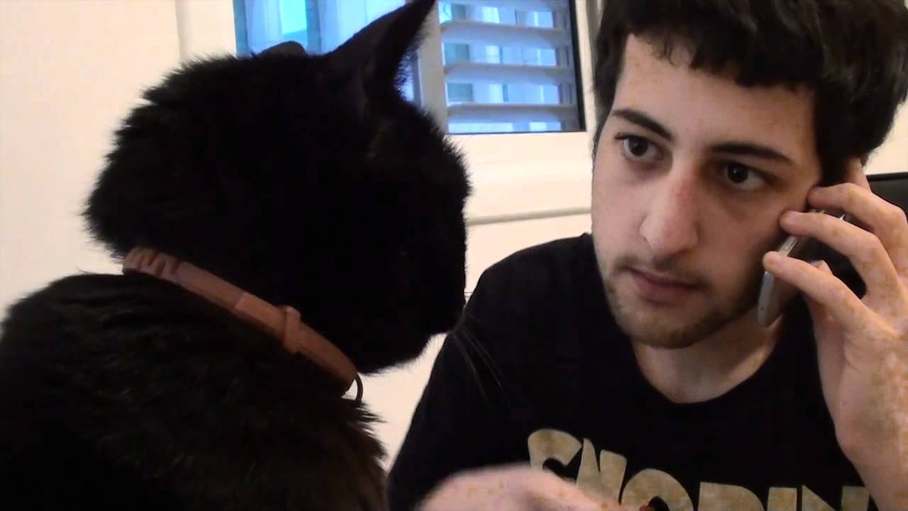 Yotam annoys his cat