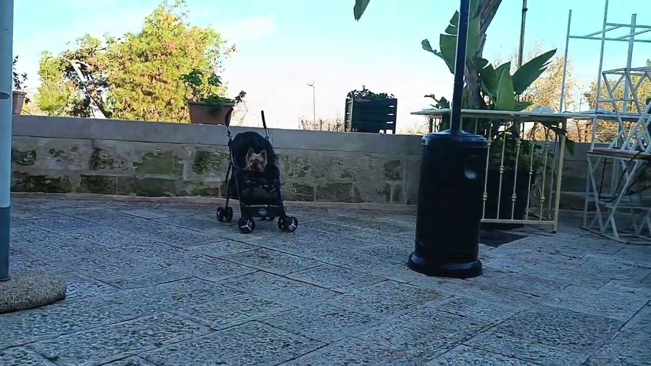 BARLETTA BORGO ANTICO 