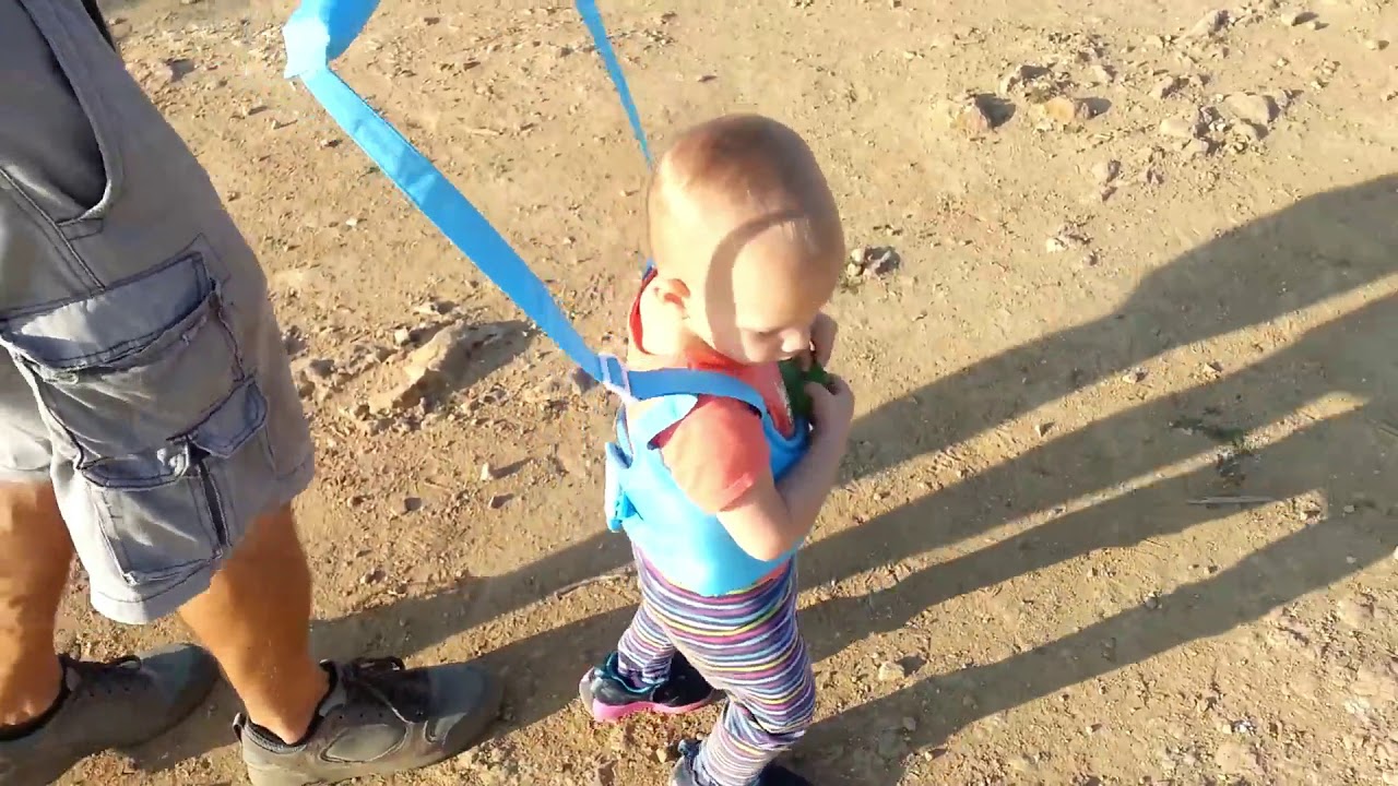 Baby Walk Assisstant + Baby Toddler Walking Assistant * Baby Harness Walker Safety Review! [+]
