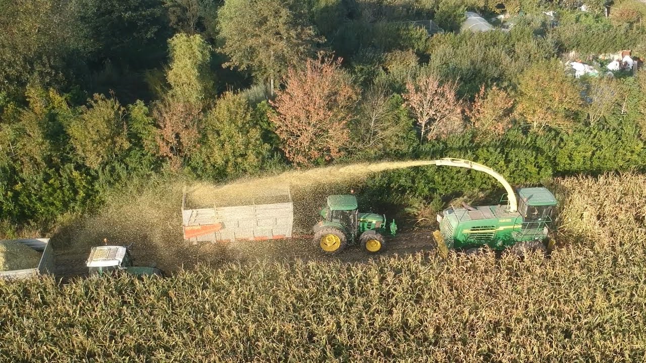 Ensilage de maïs 2018  ETA DES ABERS Ensileuse 8 rangs