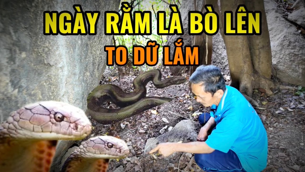 Ám Ảnh Trong Căn Nhà Vợ Chồng Ông Lão - Đêm Nào Cũng Phát Ra Tiếng Rên Rỉ Rộn Người