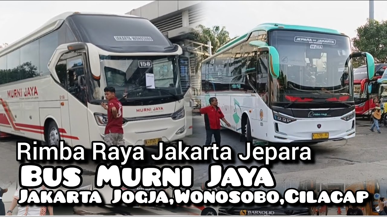 BUS MURNI JAYA !! JAKARTA JEPARA RAME HARI INI DI TERMINAL PRIOK. RIMBA RAYA,BARXHOLID,SHANTIKA,DLL
