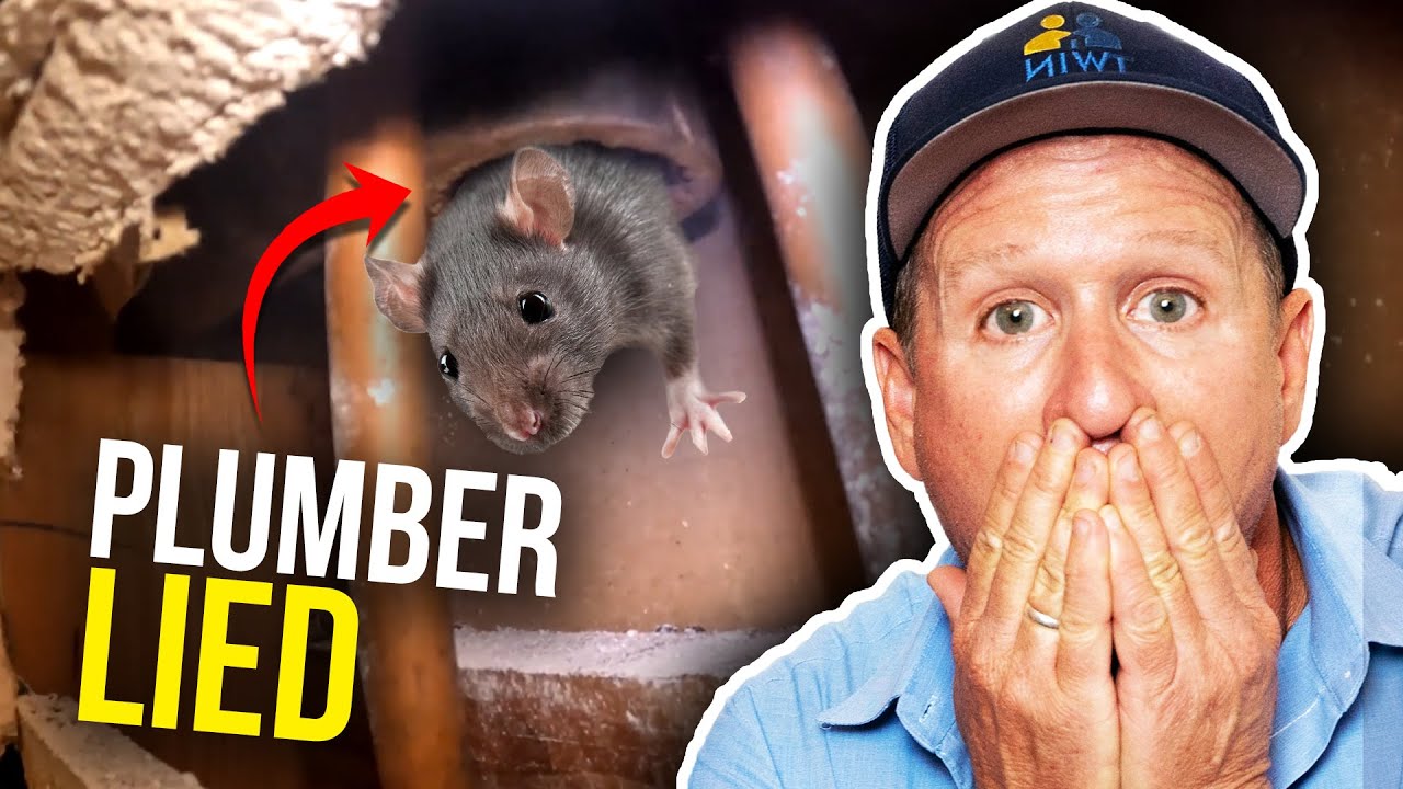 Other plumber's lie causes massive problems...