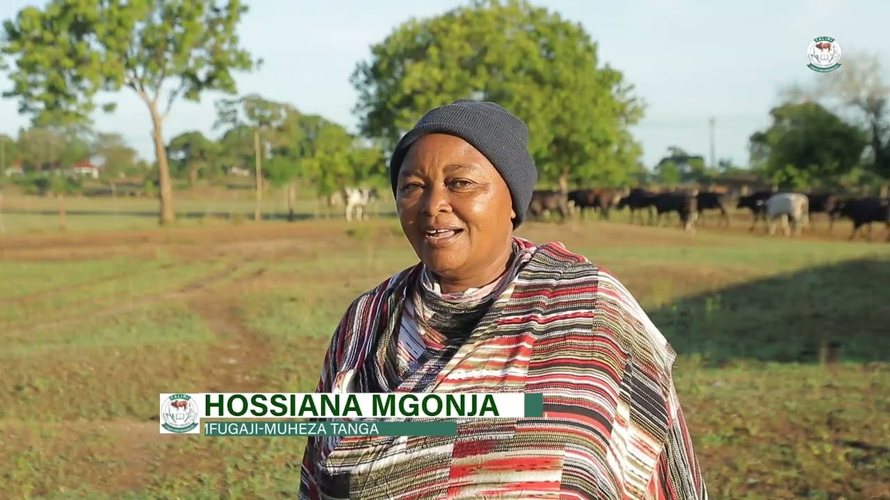 TALIRI YAPATA MAFANIKIO LUKUKI KIPINDI CHA MIAKA MINNE YA RAIS SAMIA