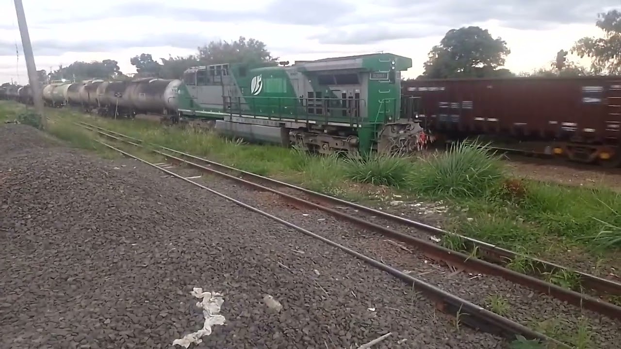 Desfecho em p&aacute;tio de boa vista velha ZBV 20(12)2025