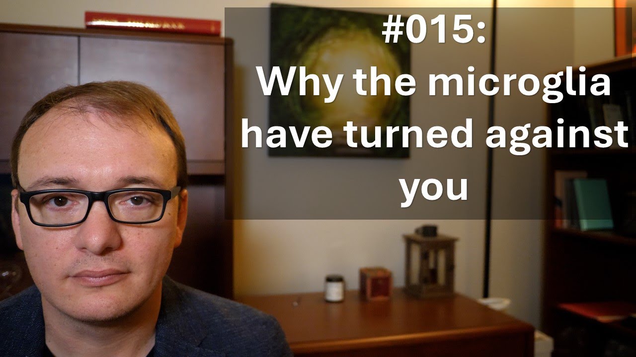 015  - Why the microglia have turned against you