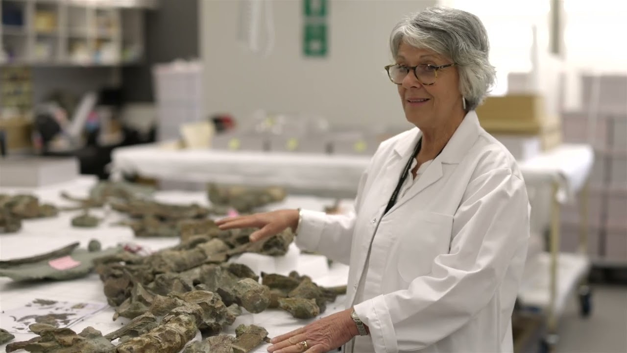 Go behind the scenes with Queensland Museum palaeontologists and fossil preparators