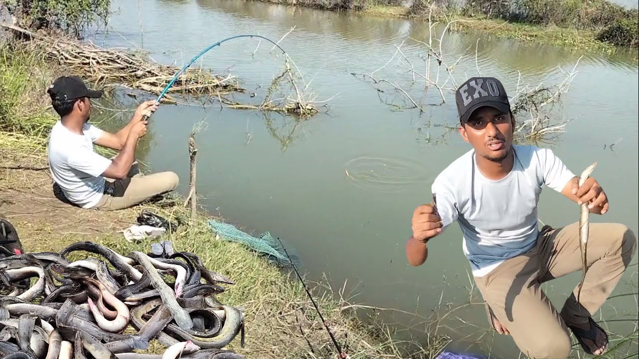 ||EEL FISHING|| ||BAAM FISHING NEW VIDEO SINGLE HOOK FISHING TIPS|| BEST CATECES #villagefishing