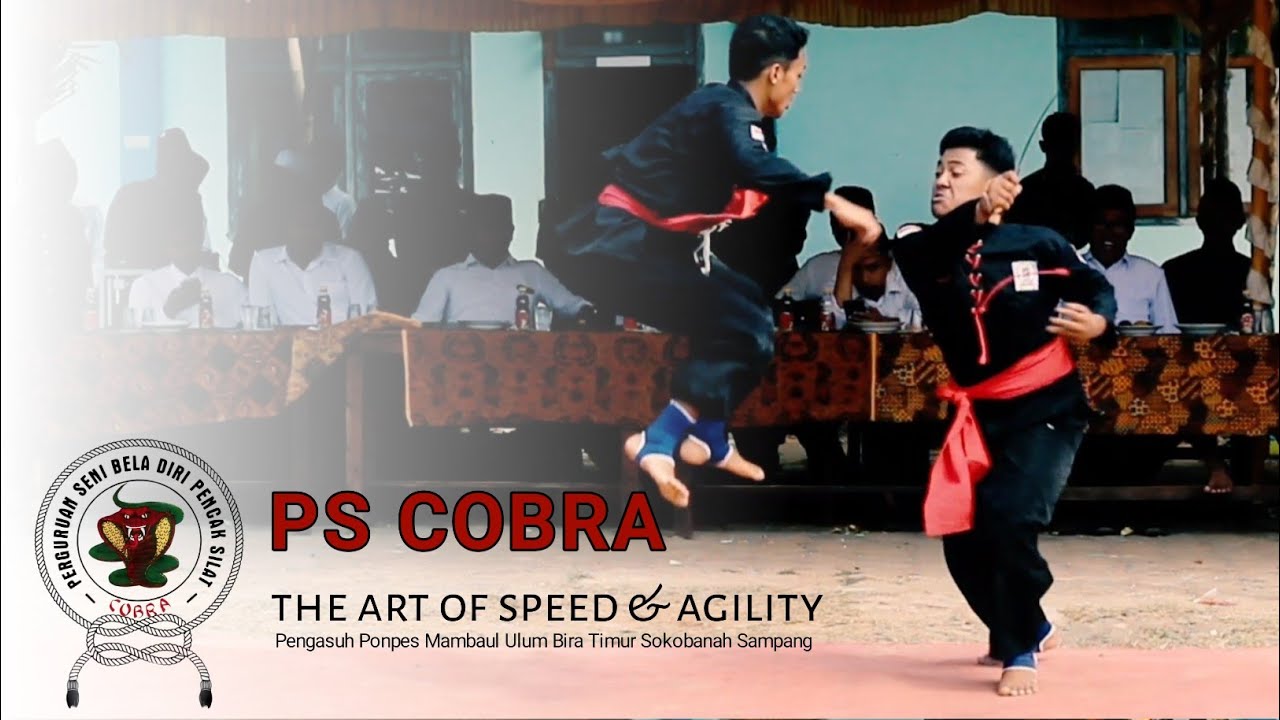 PERGURUAN PENCAK SILAT COBRA #Pscobra #albirowiy