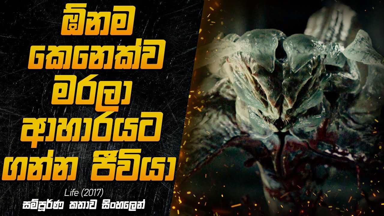 මුණ ගැහෙන ඕනම කෙනෙක්ව මරලා ආහාරයට ගන්න දරුණු ජීවියෝ | Life (2017) Explained in Sinhala