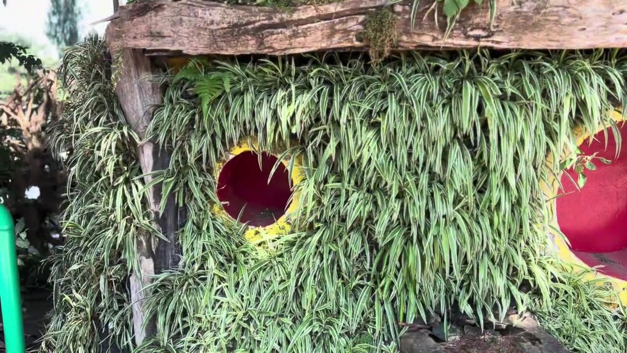 Liburan ke Bandung 2024 - Farmhouse Susu Lembang