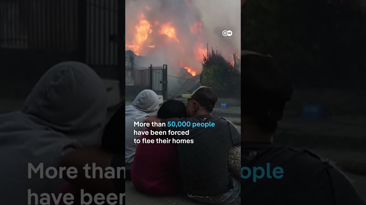 Chile declares State of Emergency over wildfires | DW News