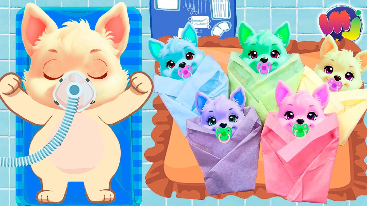 🐶 PERRITA EMBARAZADA 🤰 TIENE 5 CACHORROS de COLORES 🎀 🌈
