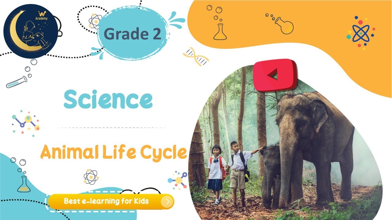 Animal Life Cycle - Science Grade 2