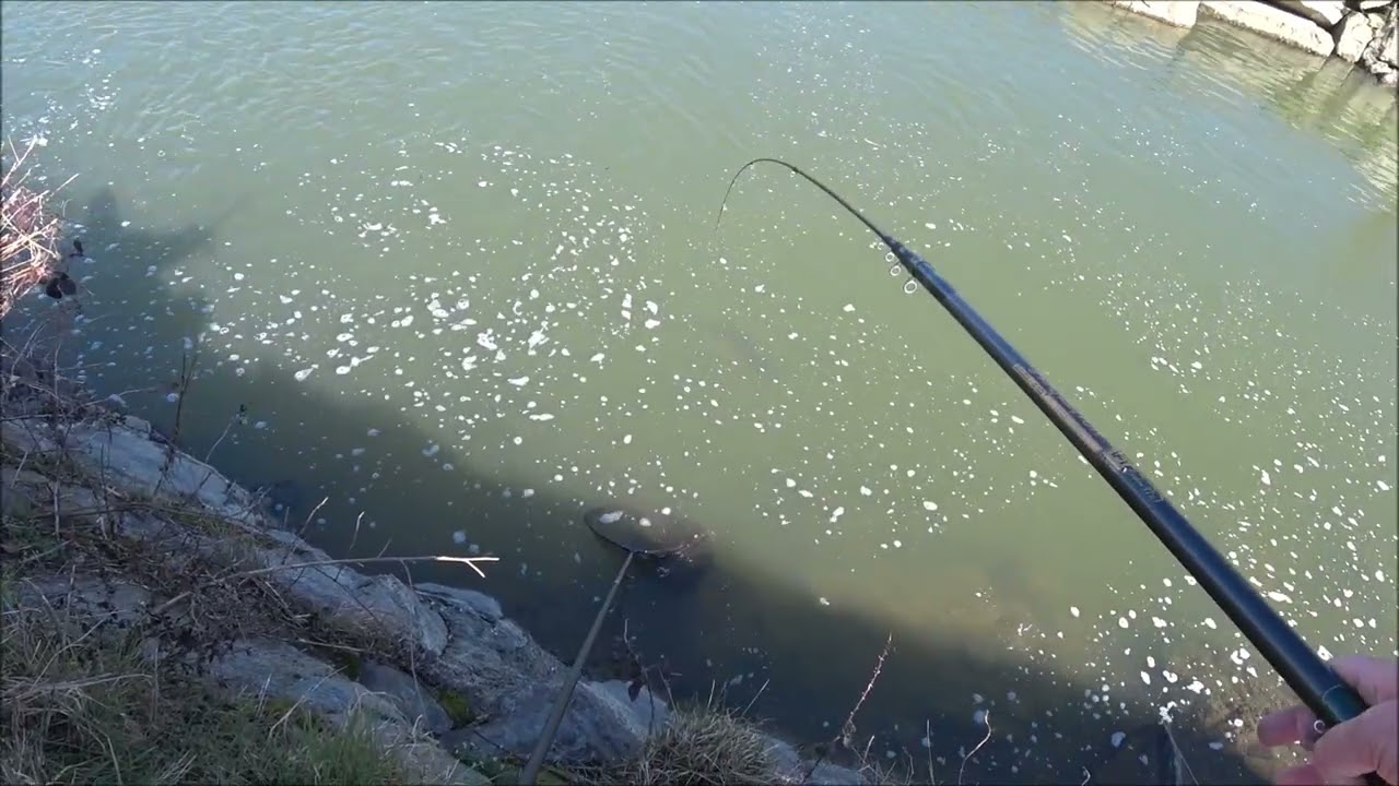 10 kg di potenza pura