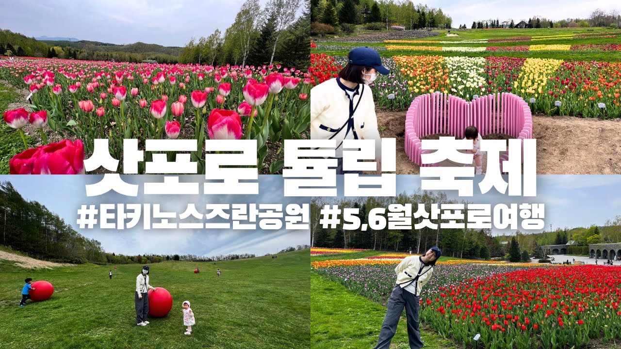 삿포로 튤립 축제에 다녀왔습니다. 5월 6월 삿포로에 오셔서 북해도의 봄을 만끽해보세요! #타키노스즈란공원 #삿포로여행 #홋카이도여행 #한일부부 #국제부부 #삿포로축제