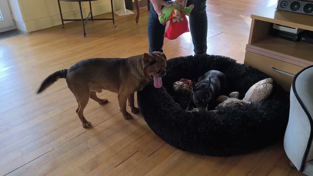 Plume s'éclate avec les jeux de Loukoum 