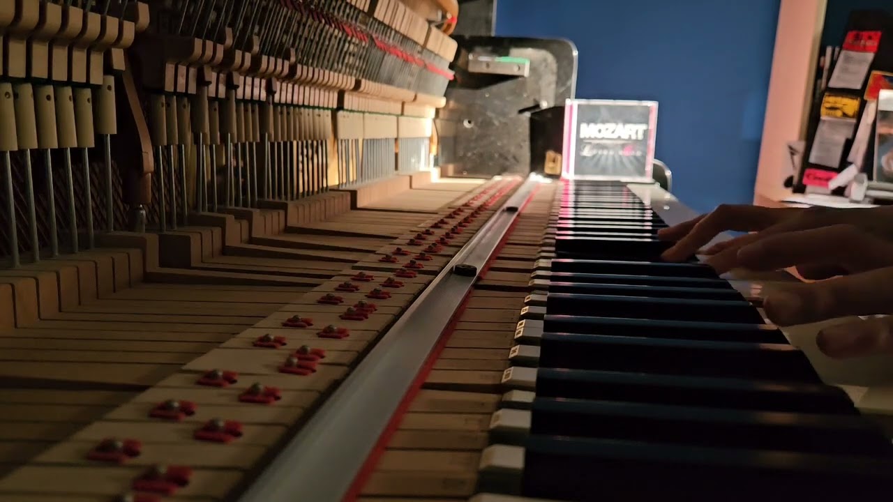 Je Dors Sur des Roses‐Mozart L'Opera Rock piano cover