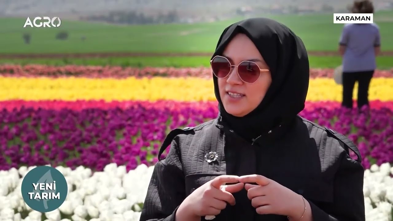 Lale Üretimi Hakkında Her Şey! Karaman'ın Gizli Cenneti l Yeni Tarım