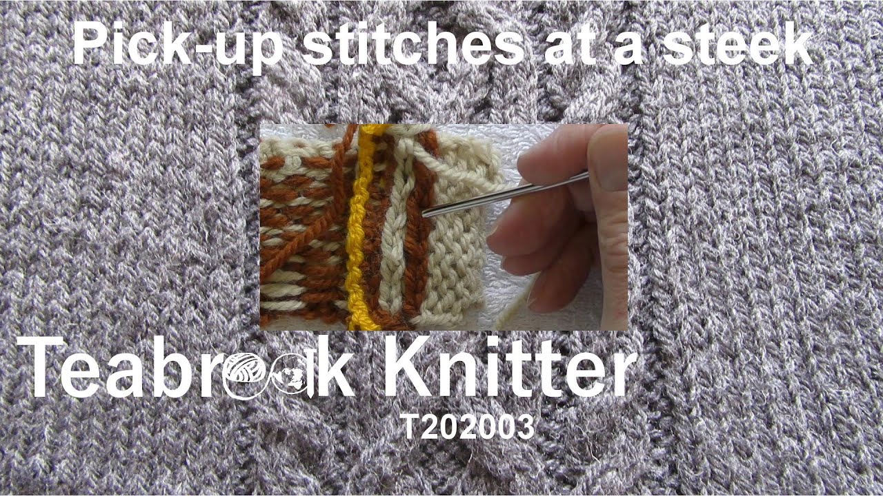Pick-up stitches at a steek (T202003)