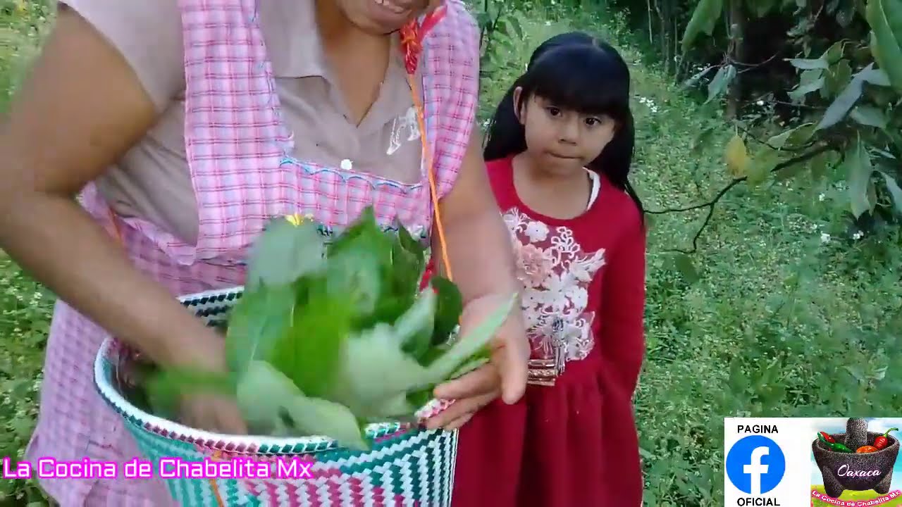 Preparando un rico pollo al vapor con hojas de Aguacate.