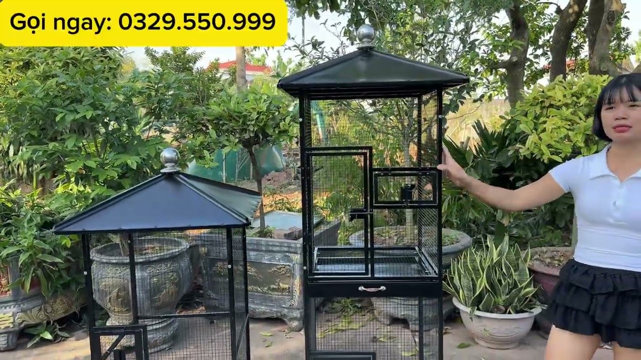 2 mẫu avi rẻ nhất đẹp nhất bán chạy nhất 