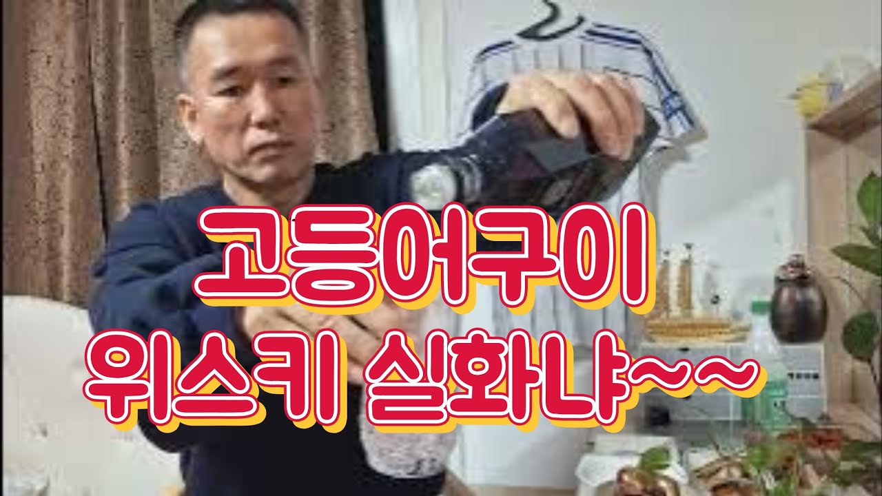 혼술 대장금 고등어구이 골든블루위스키 막걸리 고마운손님 의리 질풍가도