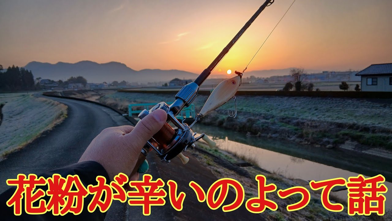 花粉症が辛いのよって話 【River fishing in Japan】