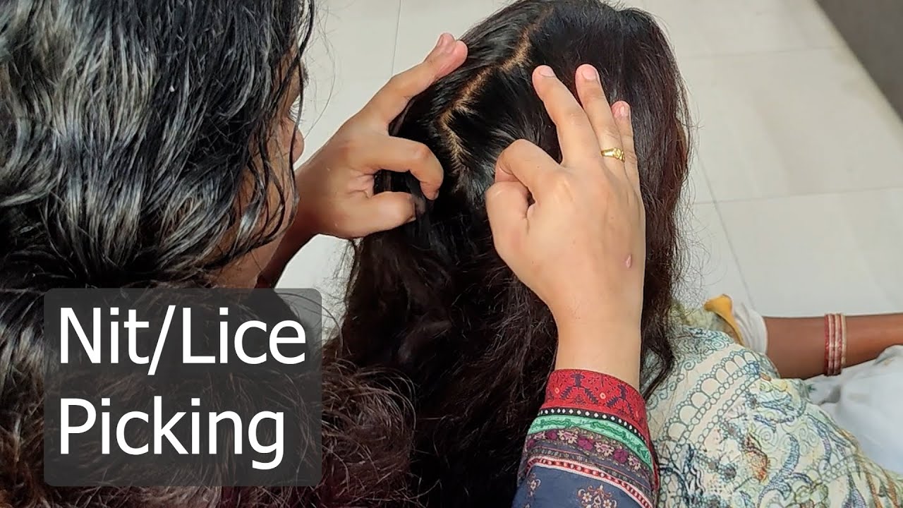 My Maid's nit lice picking - dense high volume hairs | ASMR Pakistan