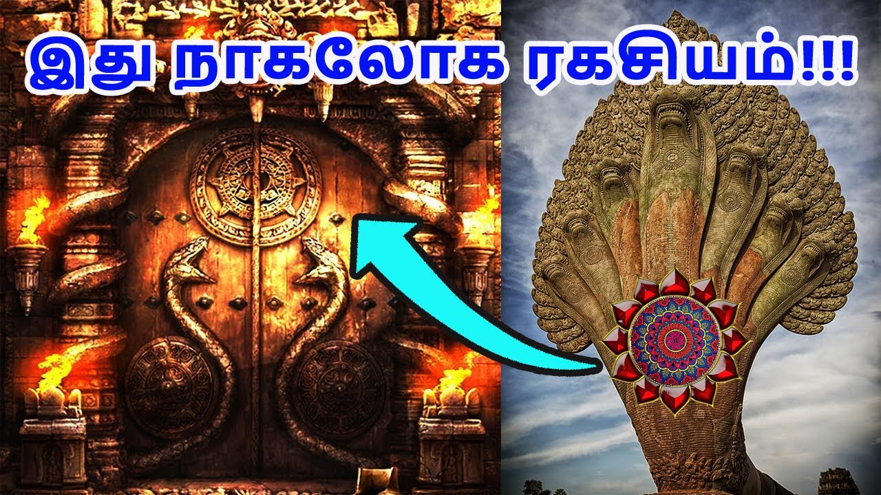 ரகசியமாய் மறைந்திருக்கும் நாக உலகத்தின் வாசல்..! ஏழு தலை நாகத்தின் பின் உள்ள மர்ம அறிவியல்??